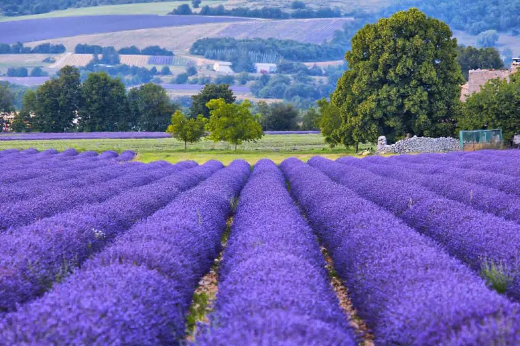 Provence france