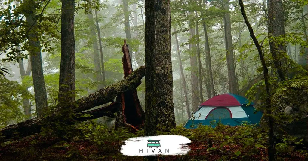 Is Camping in the Woods Illegal? – Hivan