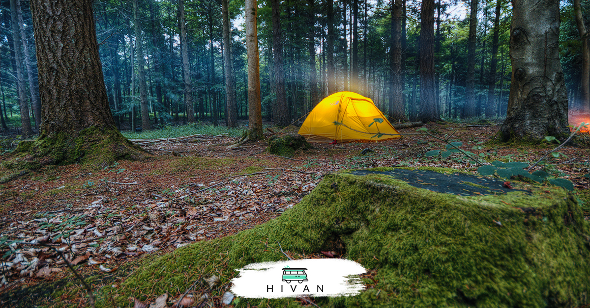 Will a Tent Protect You From Animals?