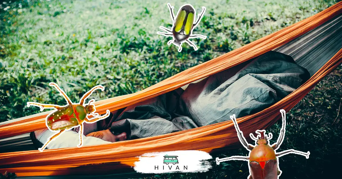 How to Avoid Bugs While Sleeping Outside Without a Tent