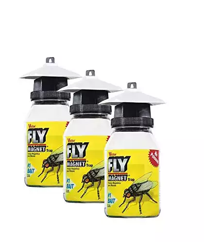 Fly Magnet Reusable Trap with Bait (Pack of 3)