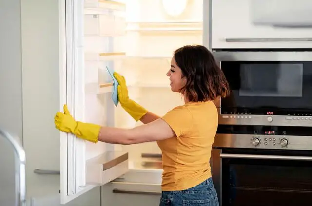 woman cleaning a RV fridge