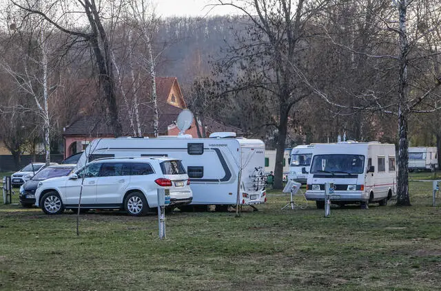 rv and campers parked on green grass