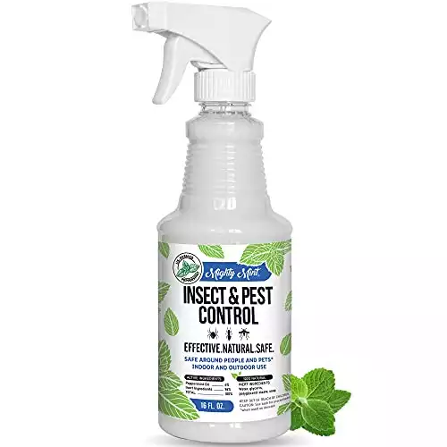 Mighty Mint - 16oz Insect and Pest Control Peppermint Oil