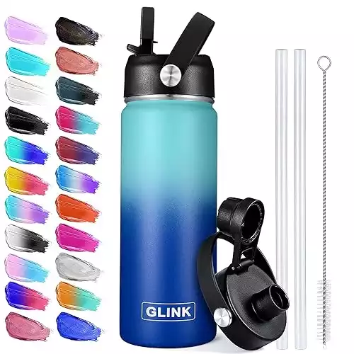 Glink Stainless Steel Water Bottle with Straw